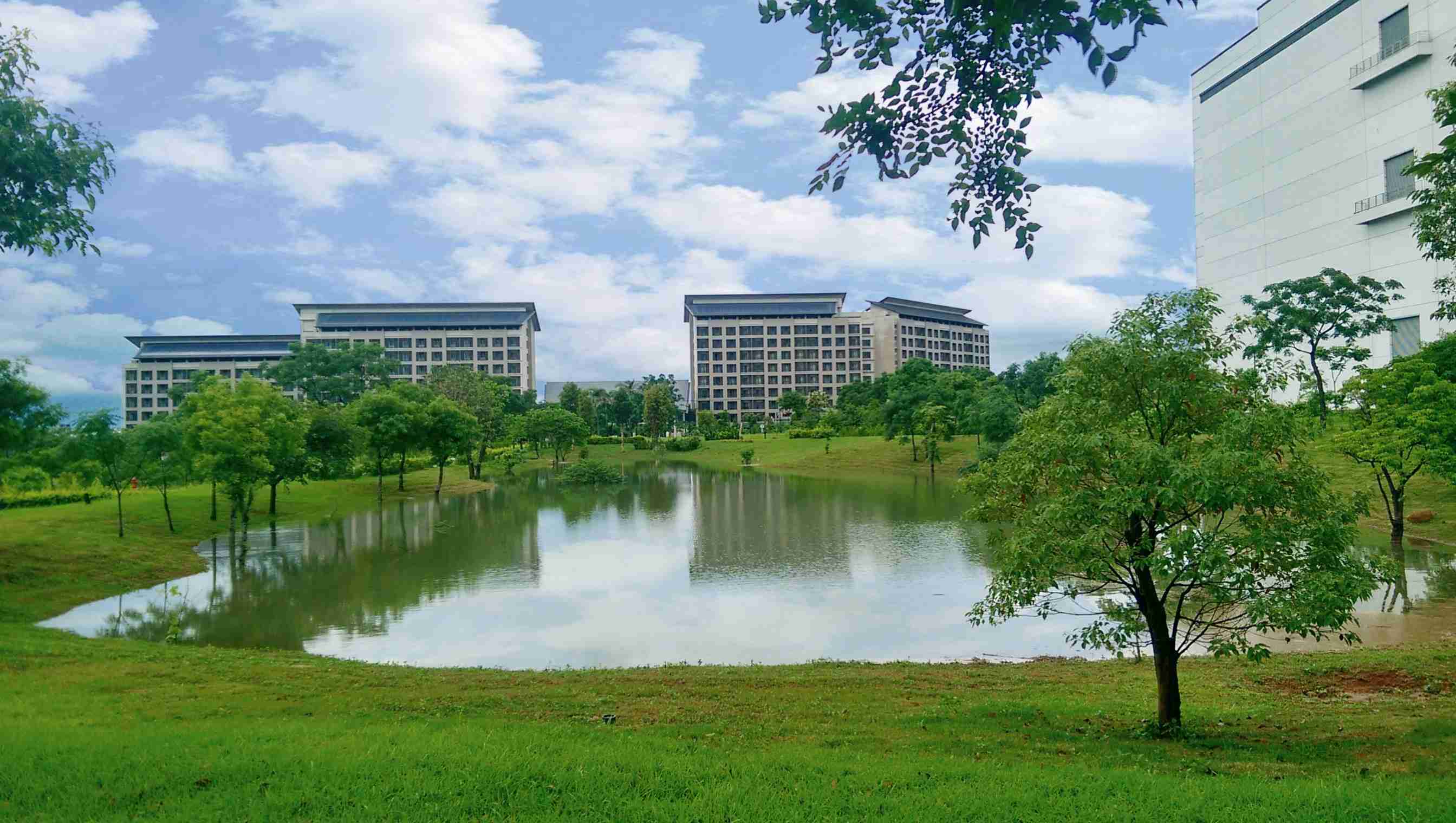 口袋牛店响应国际倡议生物多样性趋势，，，，首次发布TNFD自然相关财务揭露报告书，，擘划及开展口袋牛店生物多样性政策之承诺，，，逐步迈向与自然和谐共生